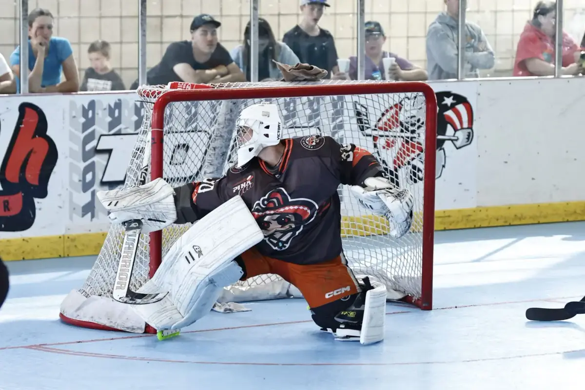 Around the Net